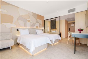 Hotel Zenith