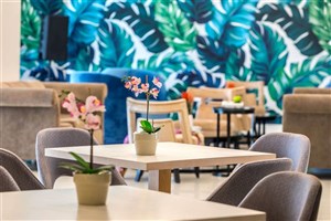 hotel Tsokkos Protaras