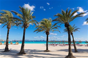 Mallorca s deťmi: 10 miest, ktoré budú milovať aj rodičia