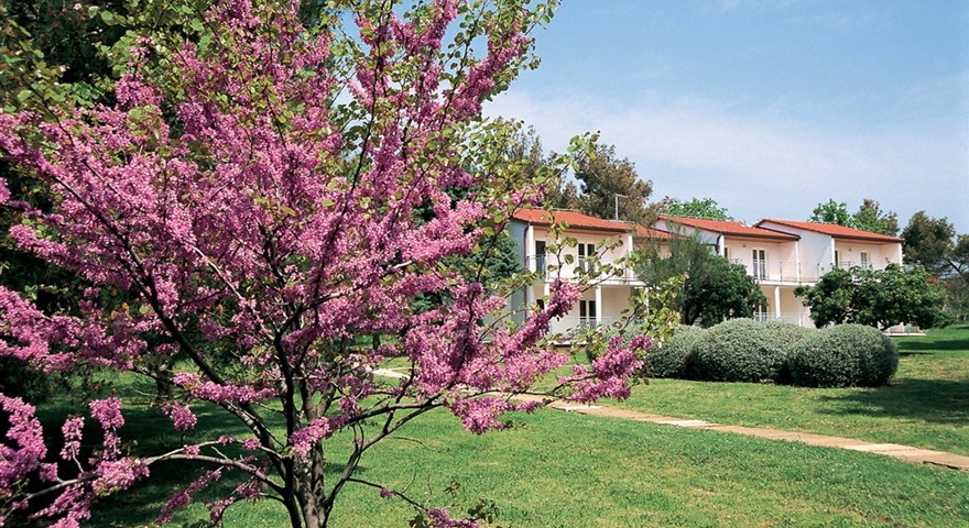 Zobrazit galerii